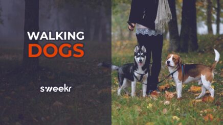 Walking Dogs